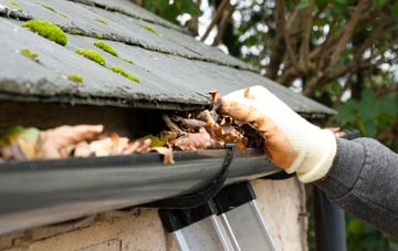 gutter cleaning Shawfield